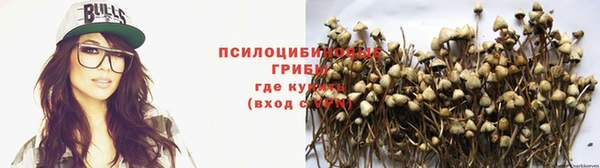 MDMA Богородск