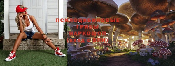первитин Богородицк